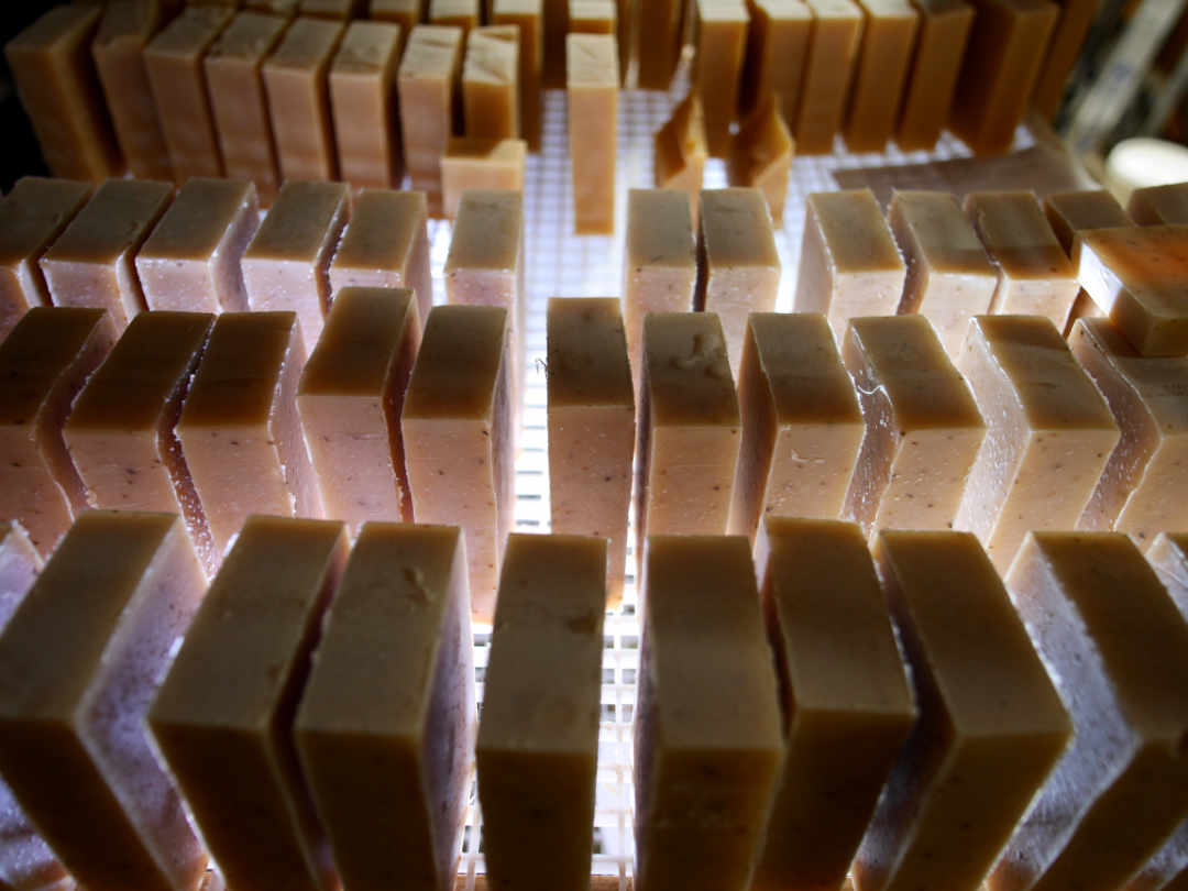 soap bars curing on drying rack